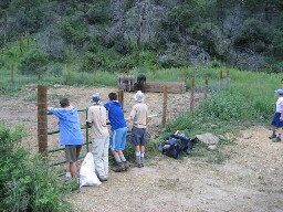 Burro pen at Flume Canyon